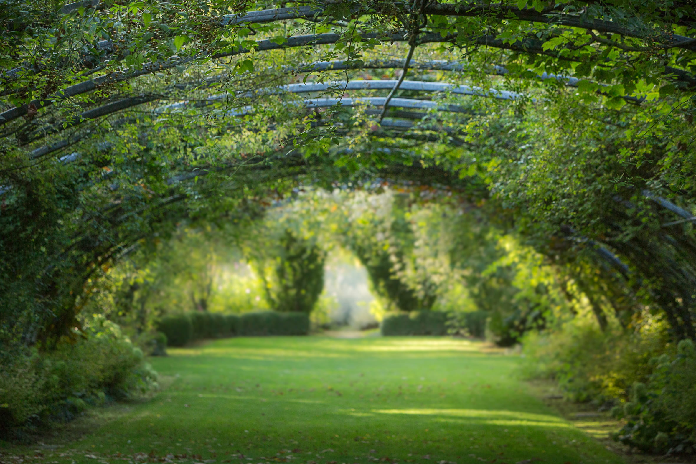 Les Jardins de Séricourt | Jardin remarquable Hauts-de-France